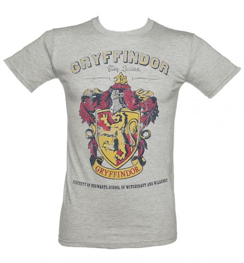 Mens Grey Harry Potter Gryffindor Team Quidditch T-Shirt