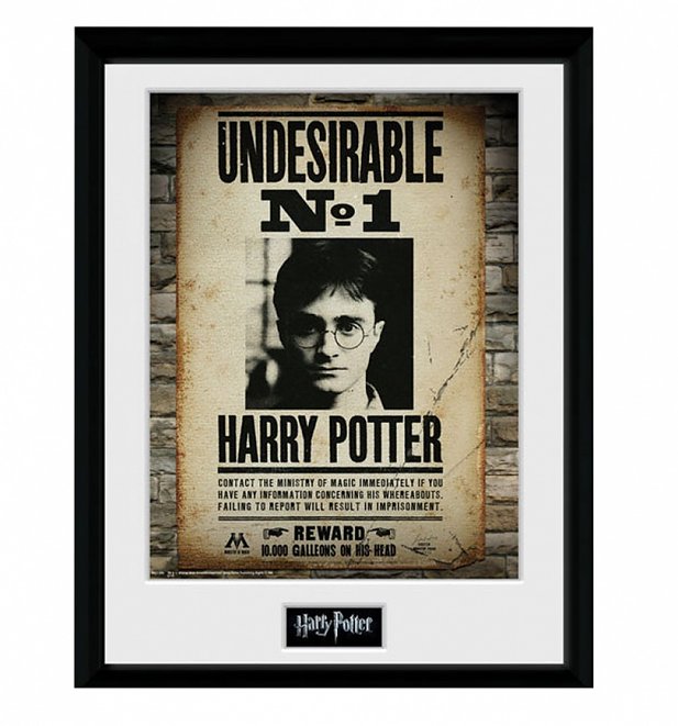 TS_Framed_Harry_Potter_Undesirable_No1_30_x_40cm_Collectors_Print_14_99-617-662